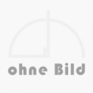 ARI-CONA S Schwimmer Kondensatableiter EN-JS1049 DN 25 PN 40 R13